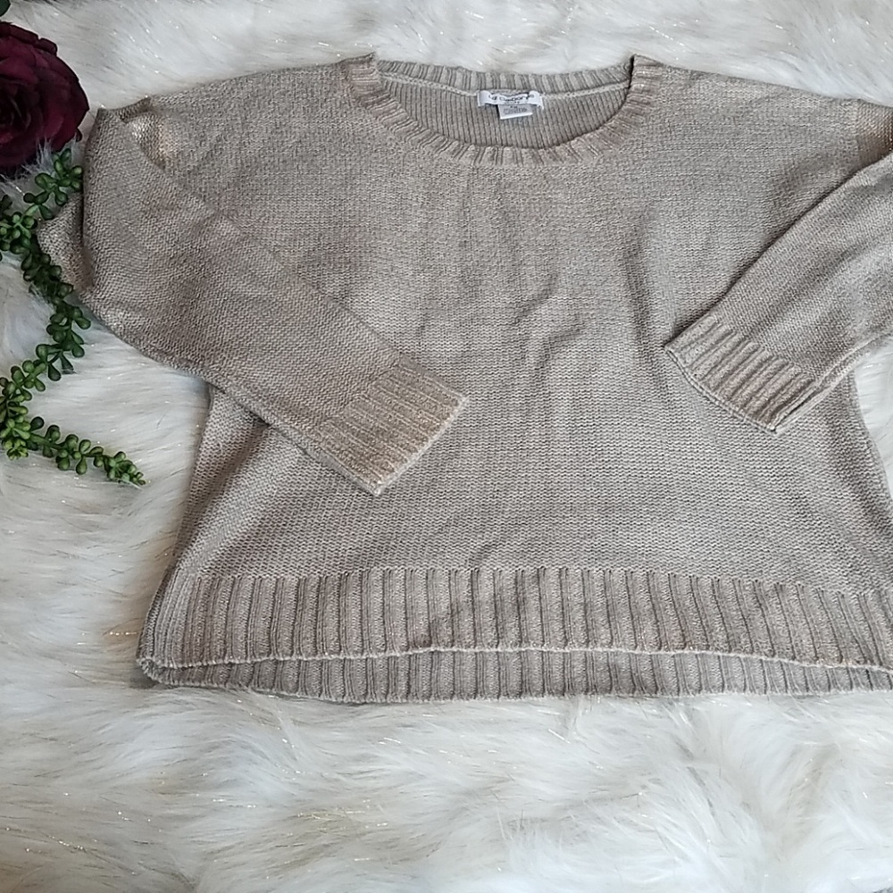 Liz Claiborne🔴 Crew Sweater